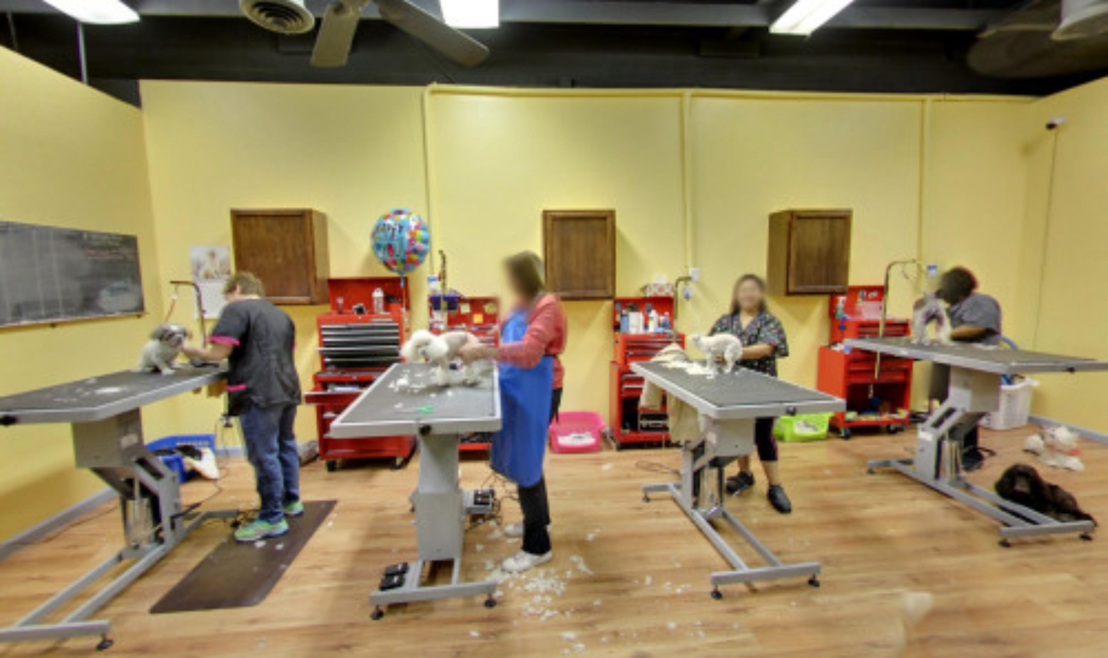 Shaggy Shaggy Shake, Las Vegas, USA virtual tour preview