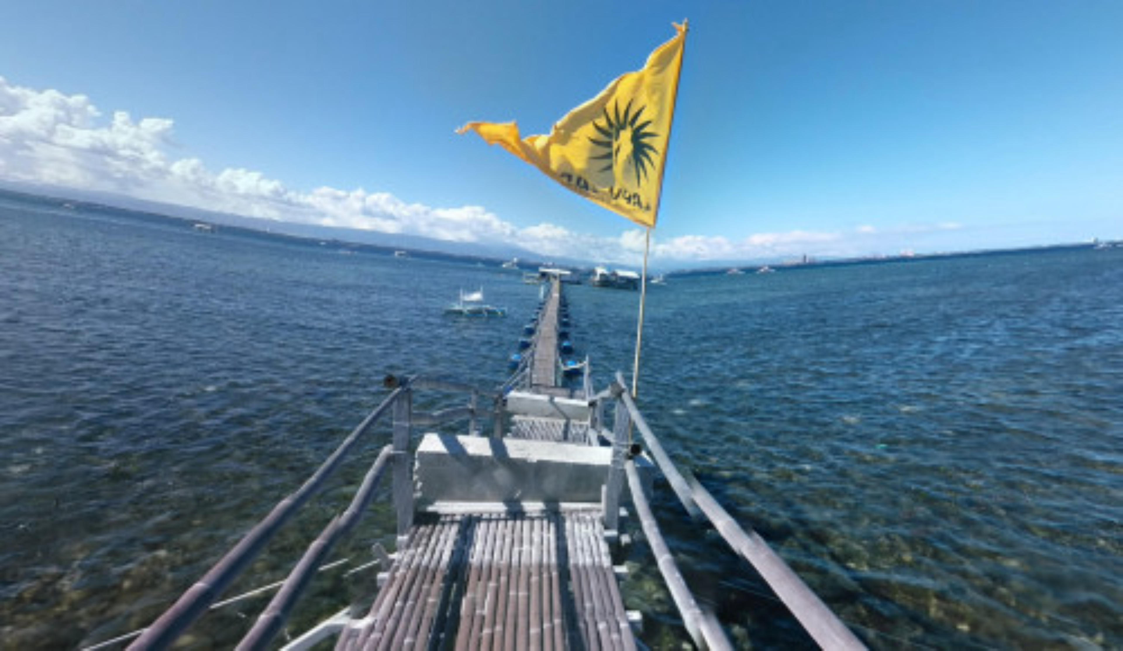 San Vicente Marine Sanctuary, Cebu, Philippines virtual tour preview