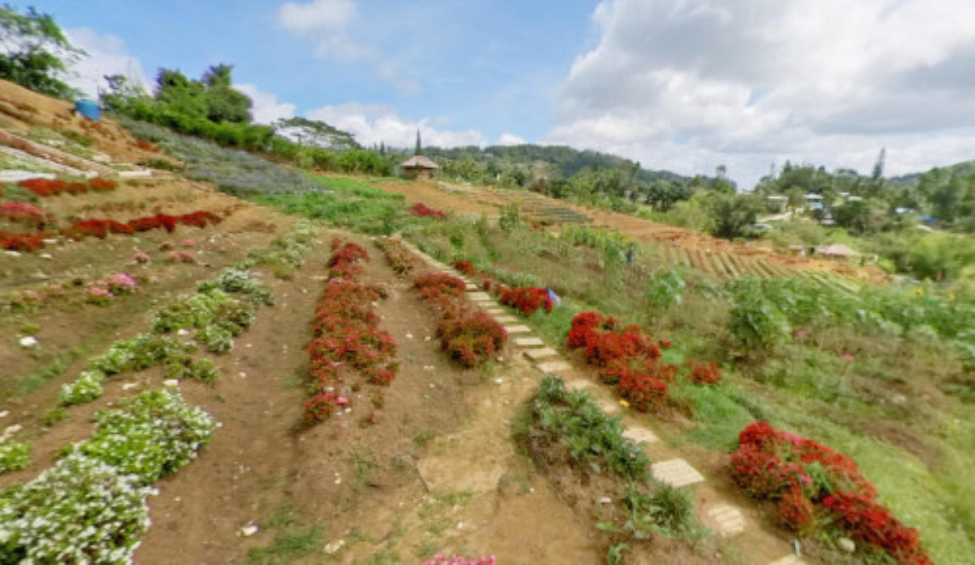 Flower Garden - Dalaguete Cebu, Philippines virtual tour preview