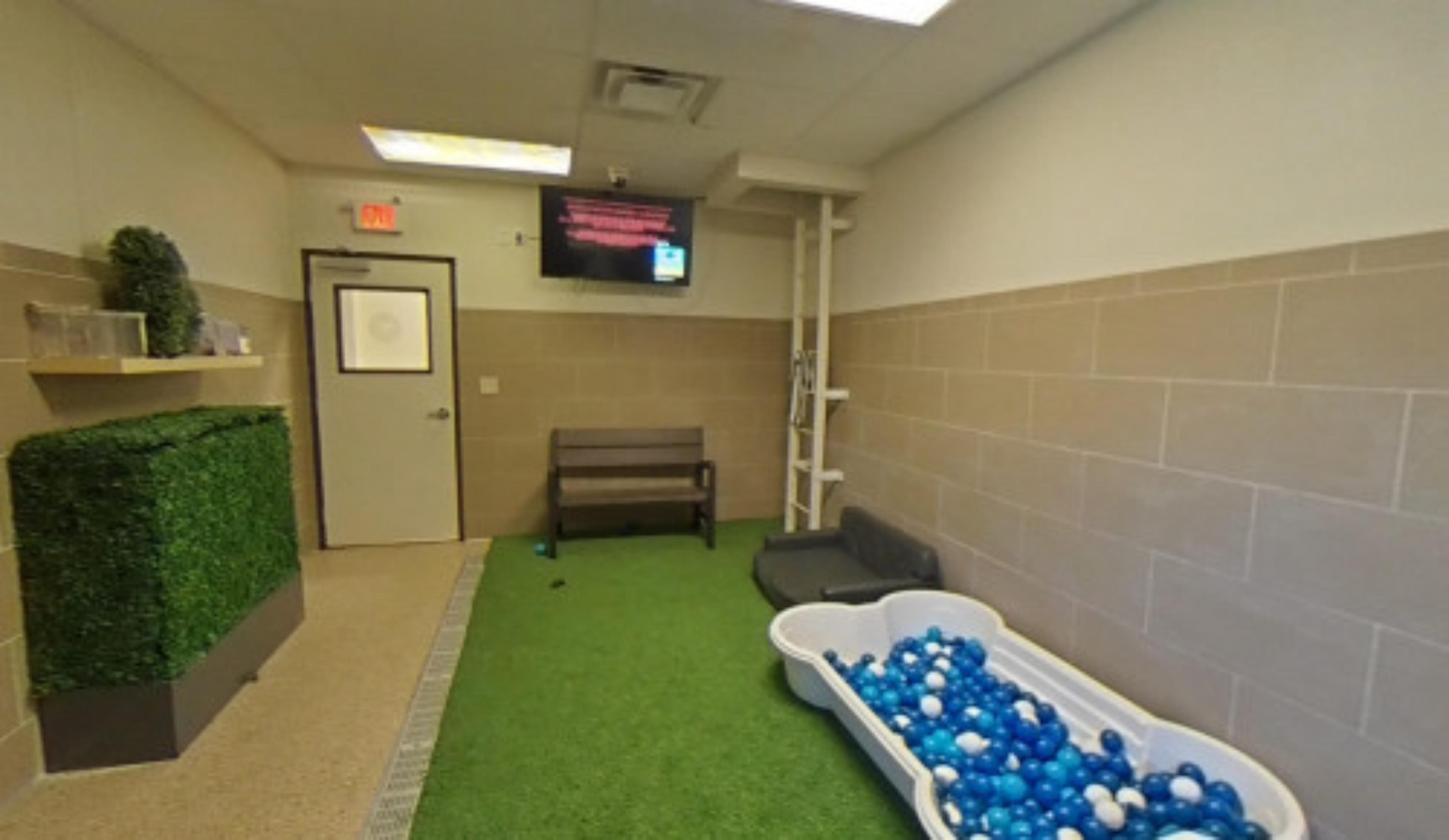 Durango Animal Hospital, Las Vegas, USA virtual tour preview