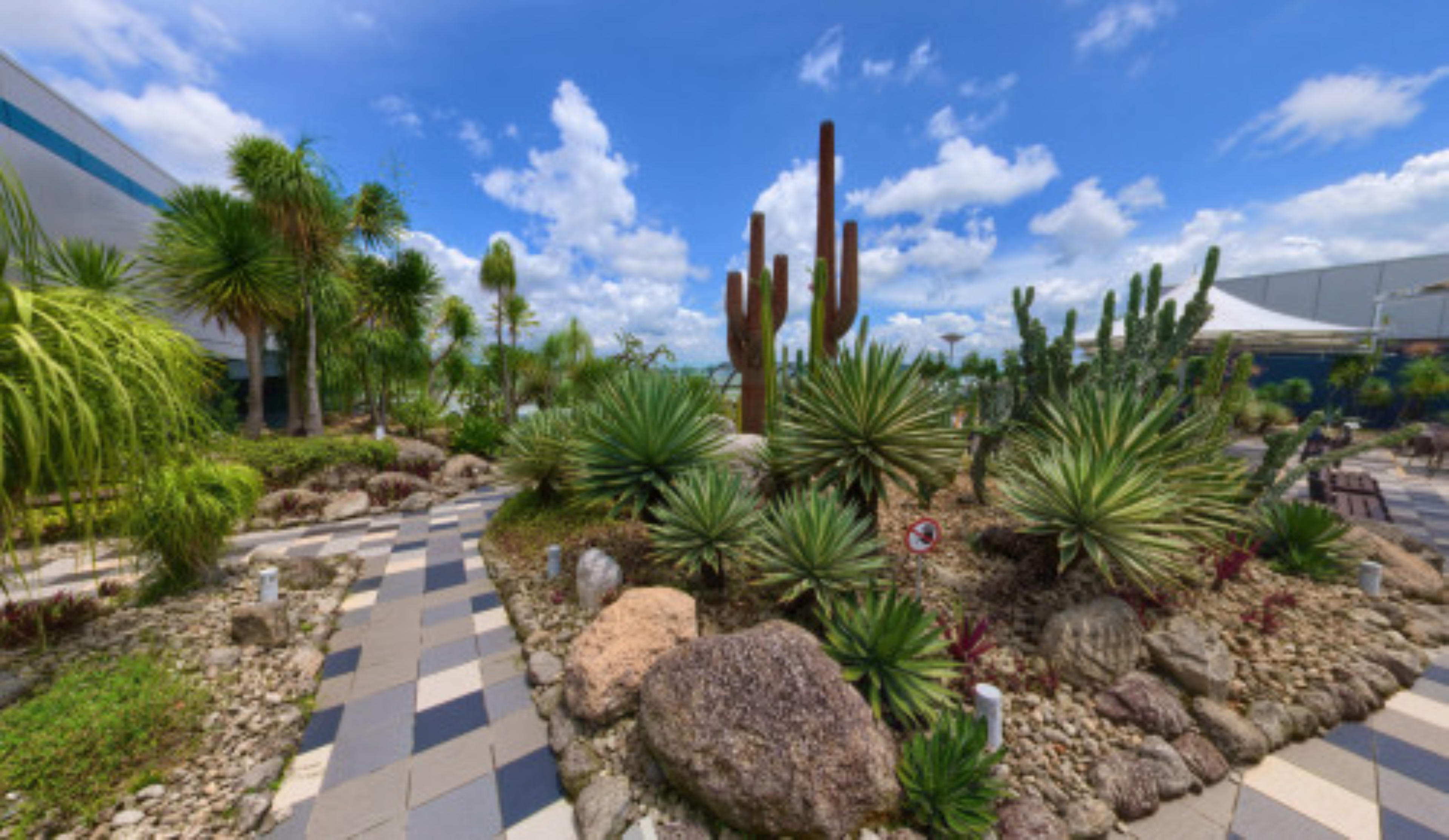 Cactus Garden Changi Airport T1, Singapore virtual tour preview