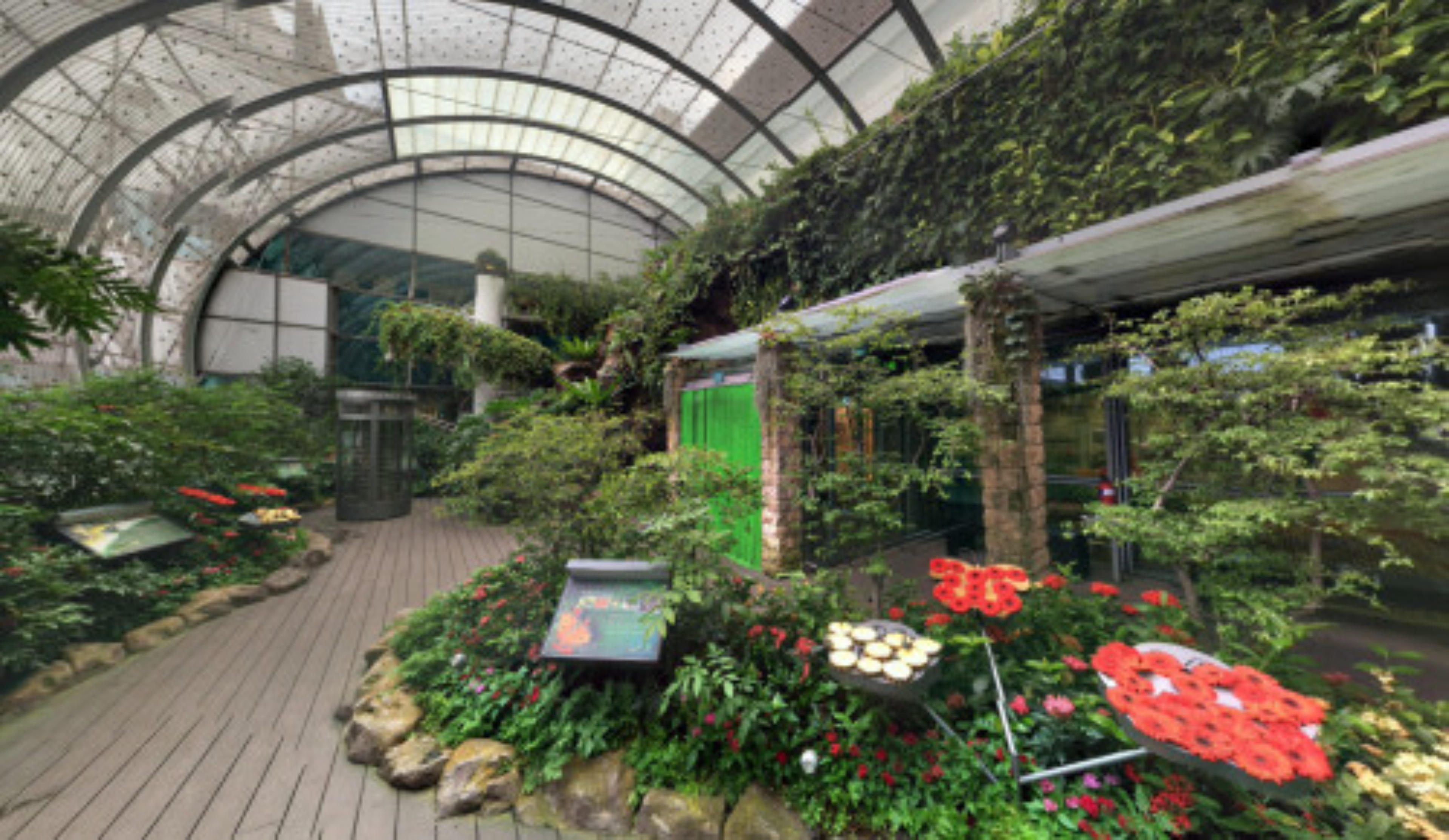 Butterfly Garden Changi Airport T3, Singapore virtual tour preview