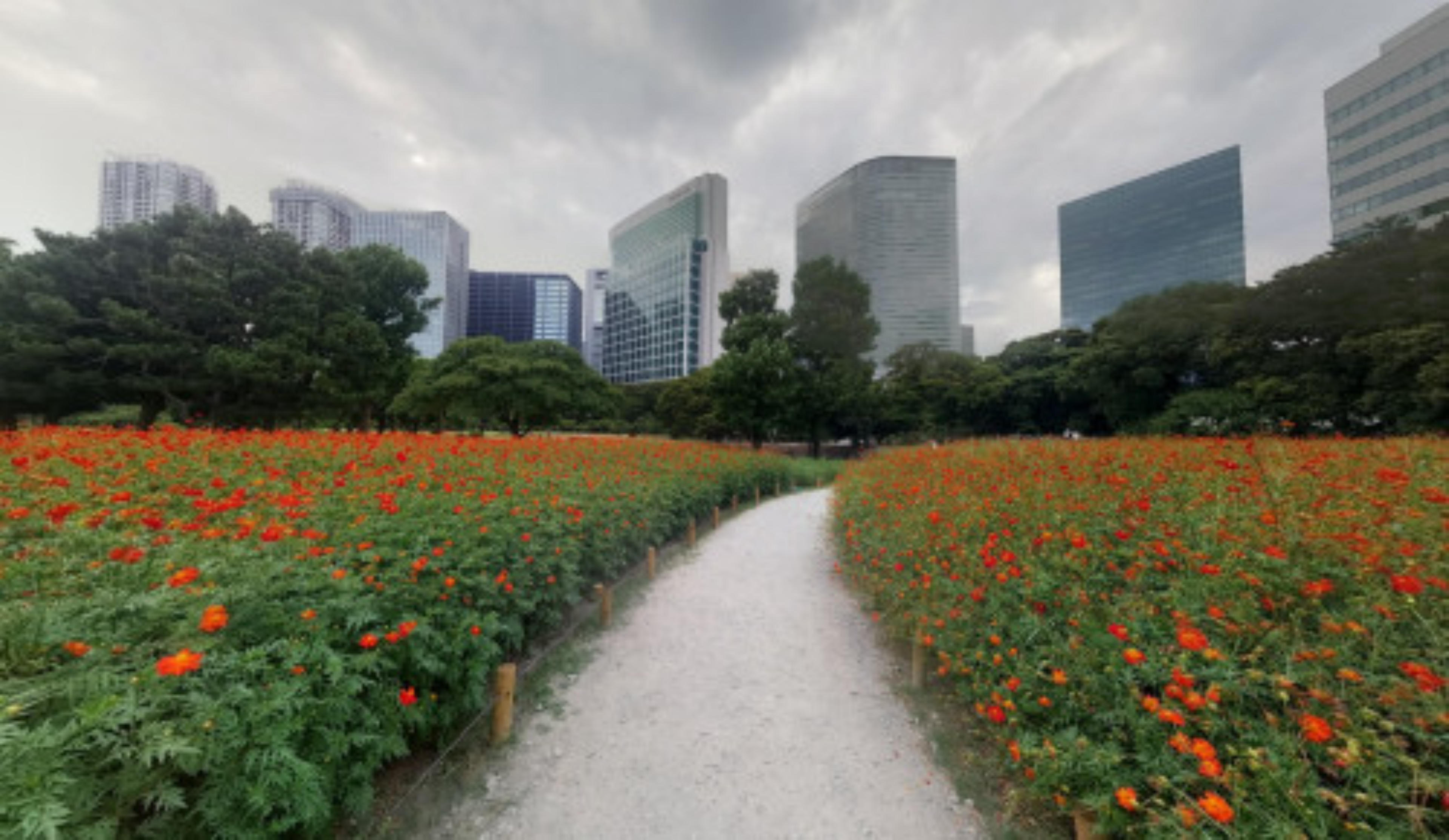 Hamarikyu Gardens virtual tour preview