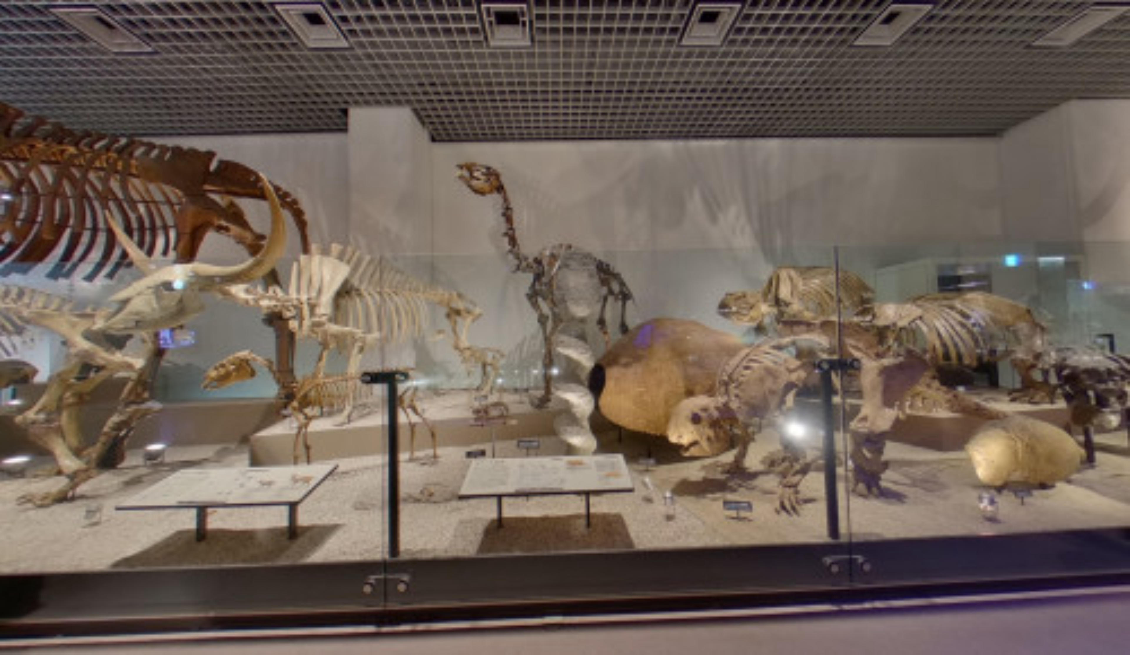 National Museum of Nature and Science virtual tour preview
