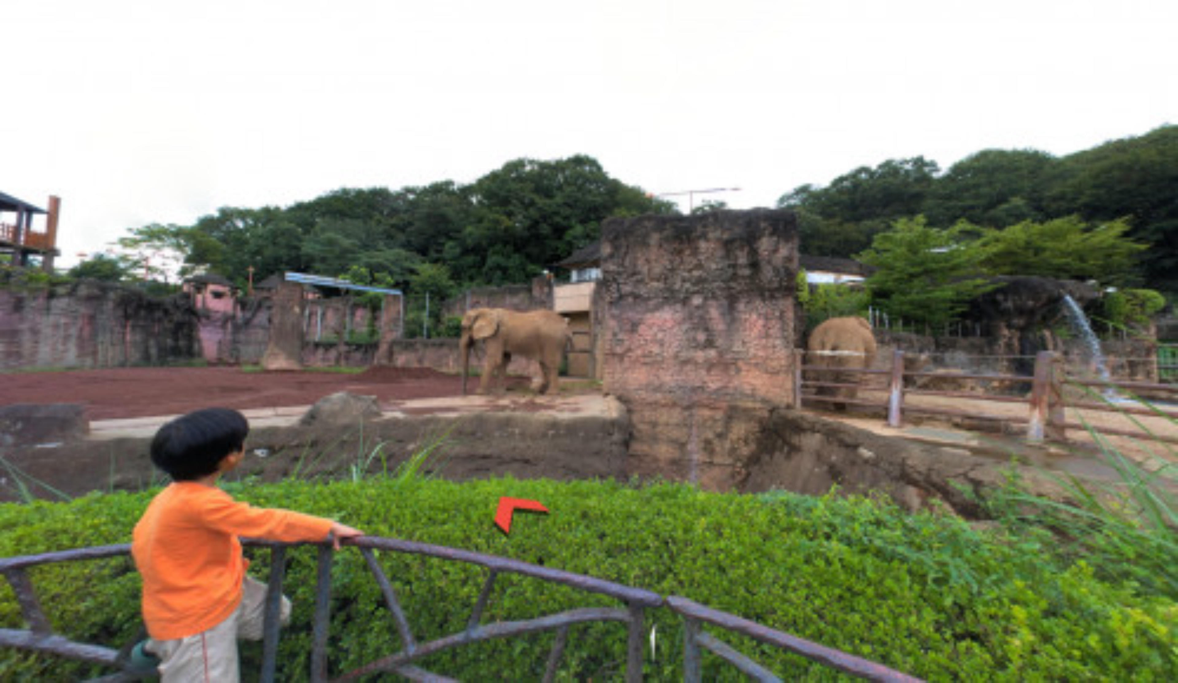 Tama Zoological Park virtual tour preview