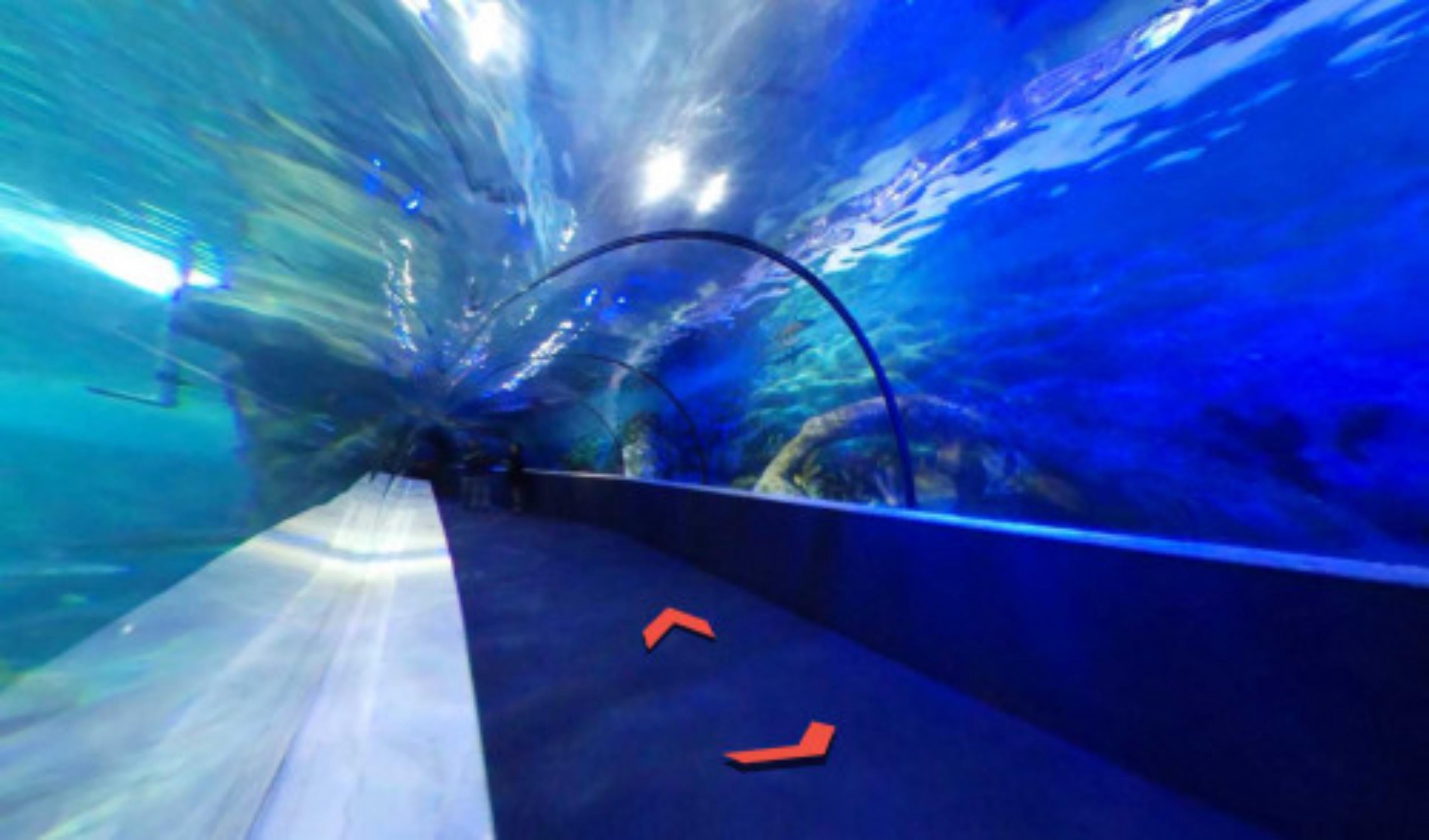 Vinpearl Aquarium Times City virtual tour preview
