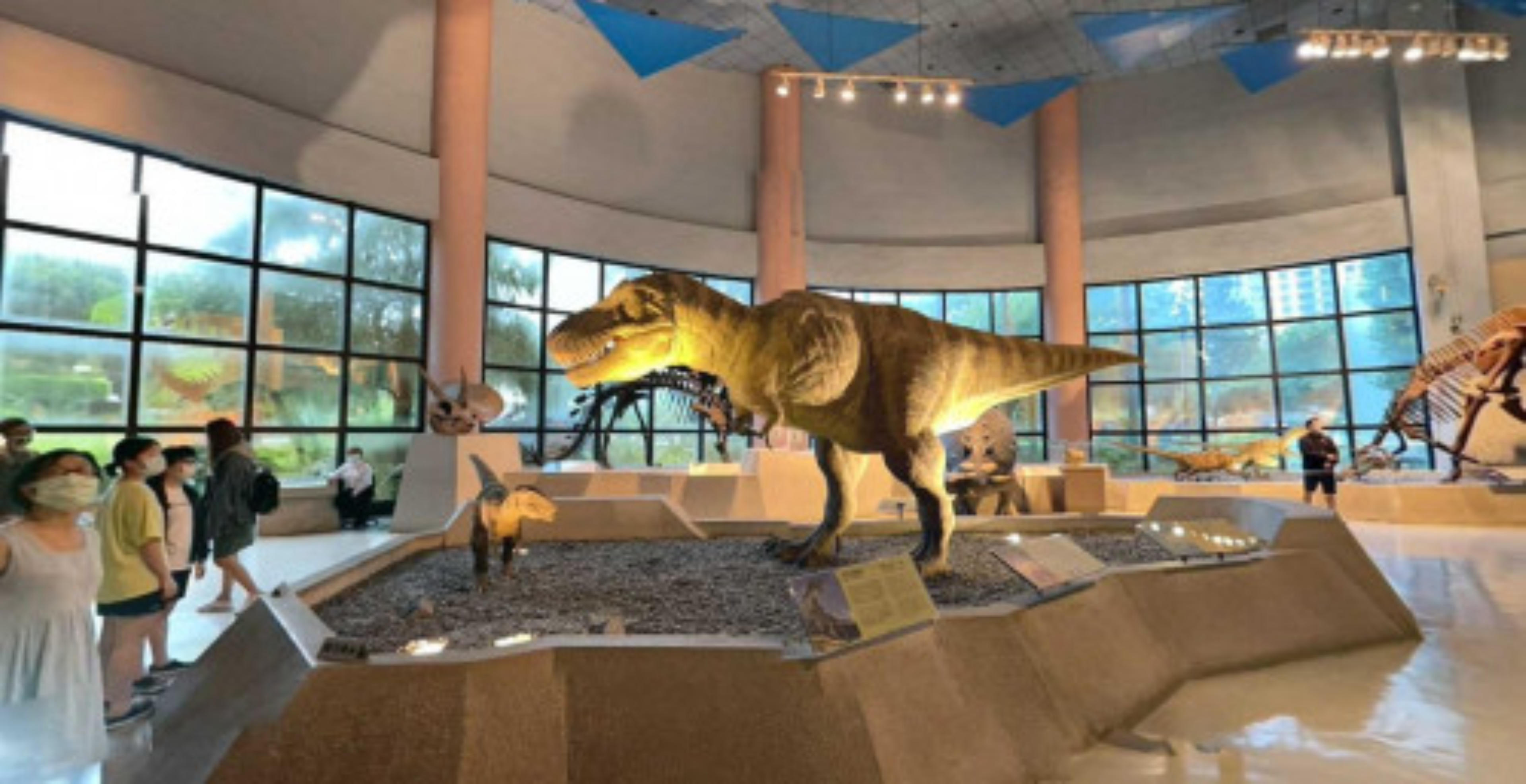 National Museum of Natural Science virtual tour preview