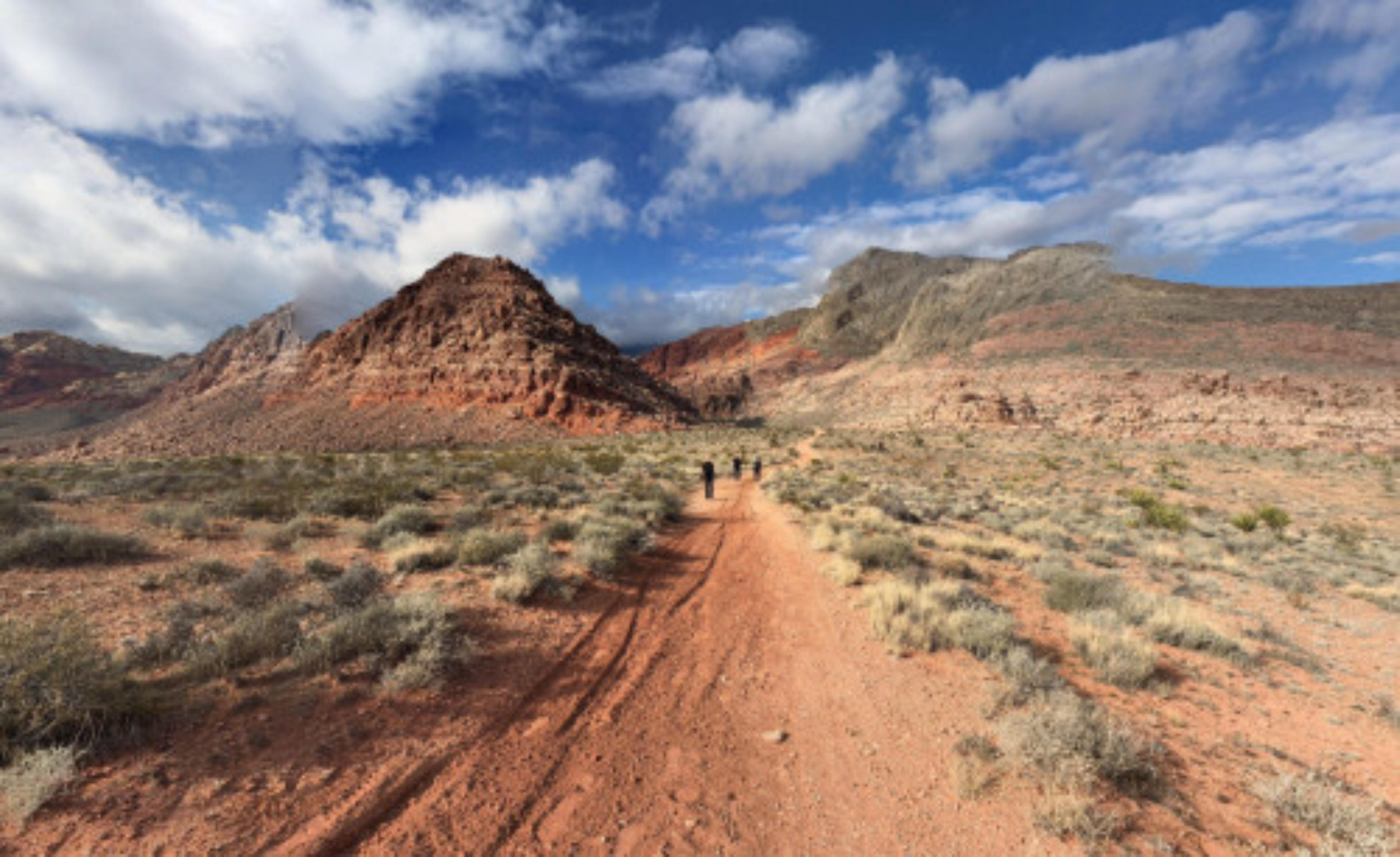 Calico Basin Trail -  Red Rock, Las Vegas, USA virtual tour preview