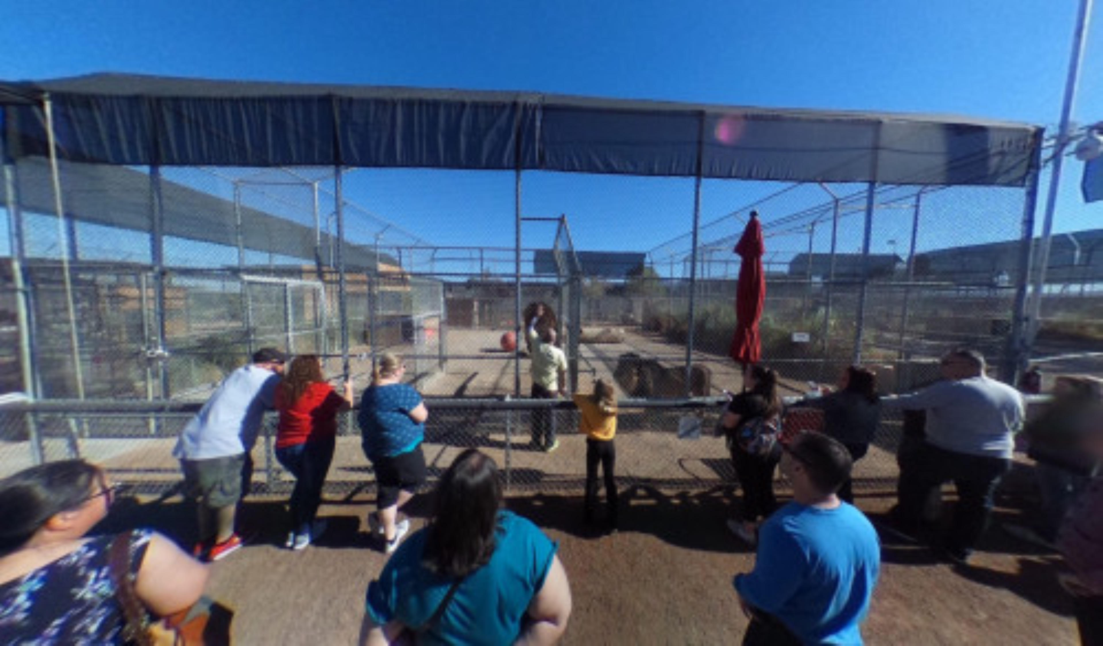 Lion Habitat Ranch, Henderson, USA virtual tour preview